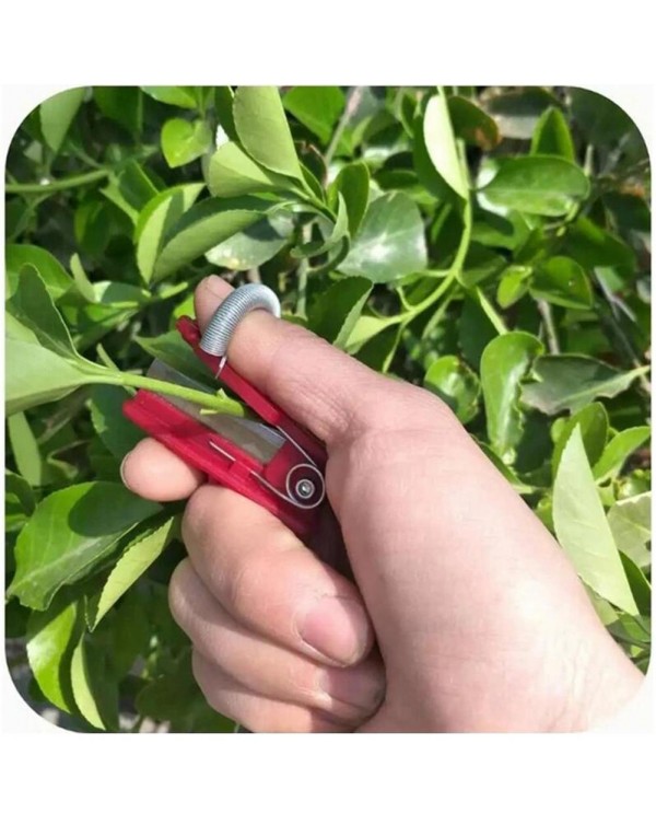 Vegetable Thump Knife Separator Vegetable Fruit Harvesting Picking Tool for Farm Garden Orchard #40