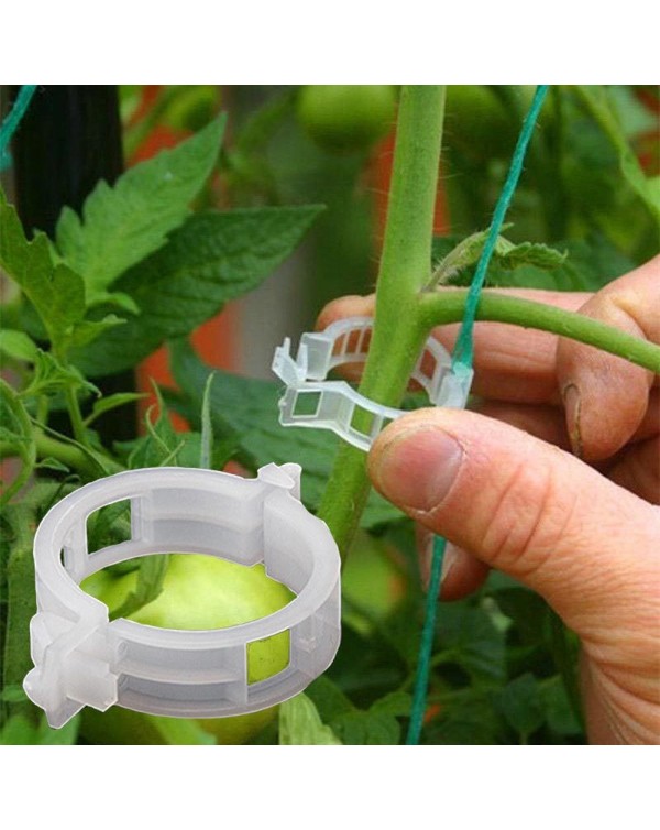 100pcs Plastic Plant Supports Clips For Tomato Hanging Trellis Vine Connects Plants Greenhouse Vegetables Garden Ornament