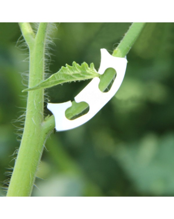 50pcs/lot Vegetables Tomato Fixing Clips to Prevent Bending Support Clamp Fruit Flower Green Plant Seedling Reinforcement Clips