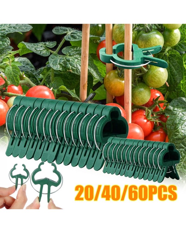 20/40/60Pcs Grafting Clips Greenhouse Clamp Stand Plastic Plant Clip Fastener Bracket Fixed Seed Stem Support Plant Grafting