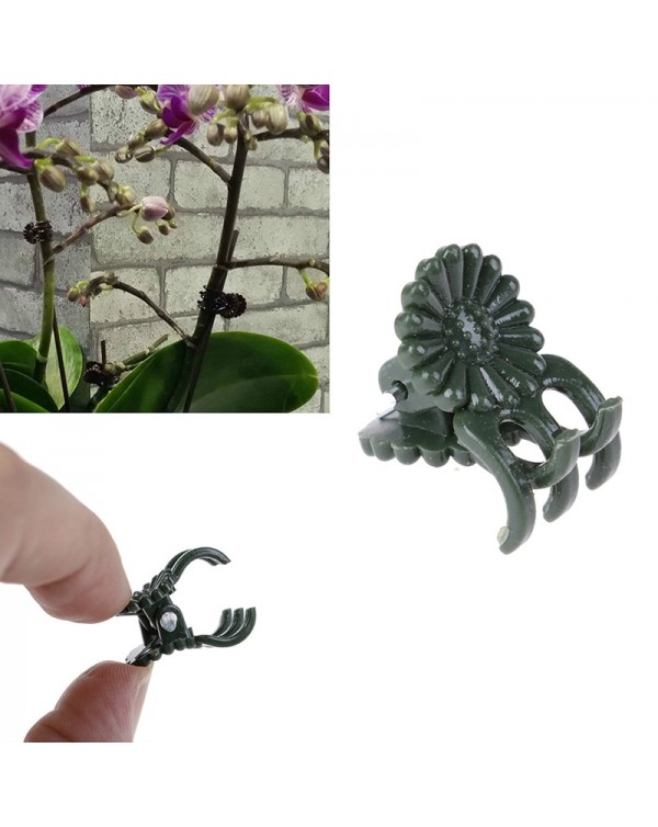 20Pcs/lot Plant Fix Clips Orchid Stem Vine Support Flowers Tied Branch Clamping