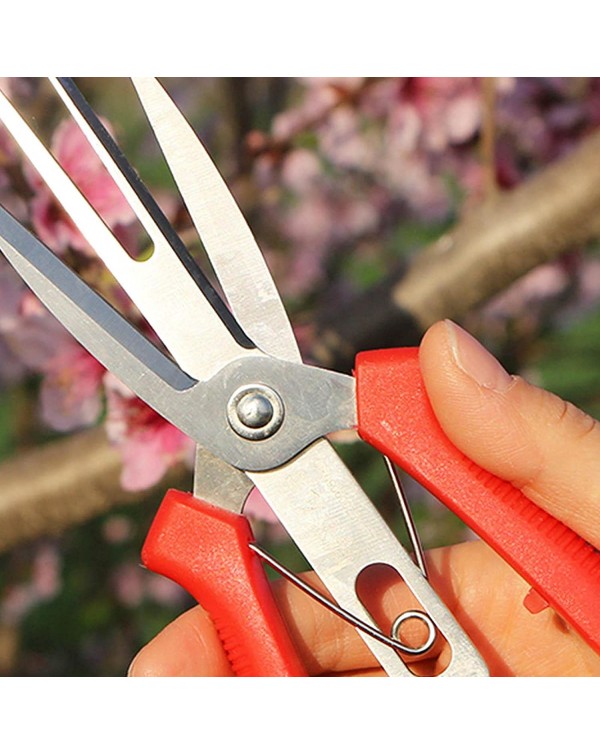 Double-port Agriculture Thinning Scissors Fruit And Flower Shears Multi-use Pruning Bonsai Cultivating Tool Garden Picking Shear