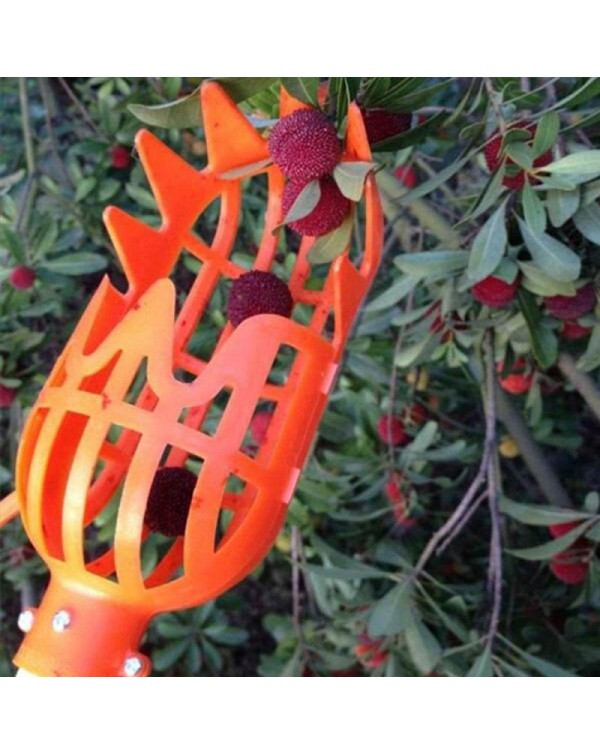 1pc Onvenient Fruit Picker Gardening Fruits Collection Picking Head Tool Fruit Catcher Device Greenhouse Garden Tools Dropshipp