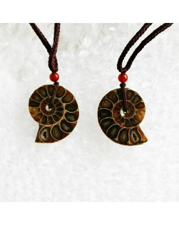 1 Pc of Split Ammonite Fossil Specimen Shell Healing Decoration Madagascar Natural Stones and Minerals
