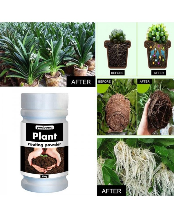 Quick Rooting Powder Fast Plant Flower Rooting Powder Quick Growth Transplant Fertilizer for Improve Flowering Cutting Survival