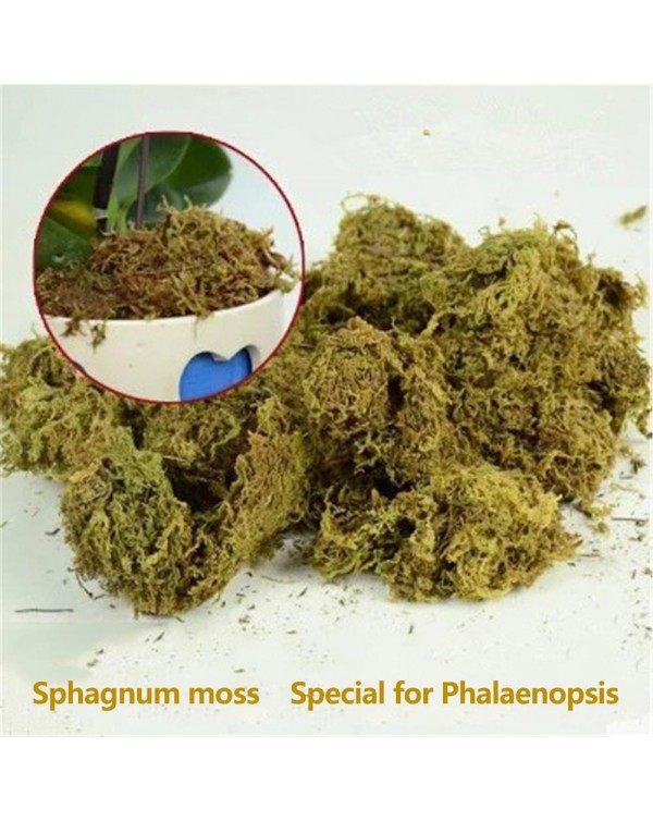 12L Sphagnum Moss Moss Sphagnum Nutrition Organic Fertilizer For Orchid Phalaenopsis Musgo Sphagnum Flower Garden Supplies