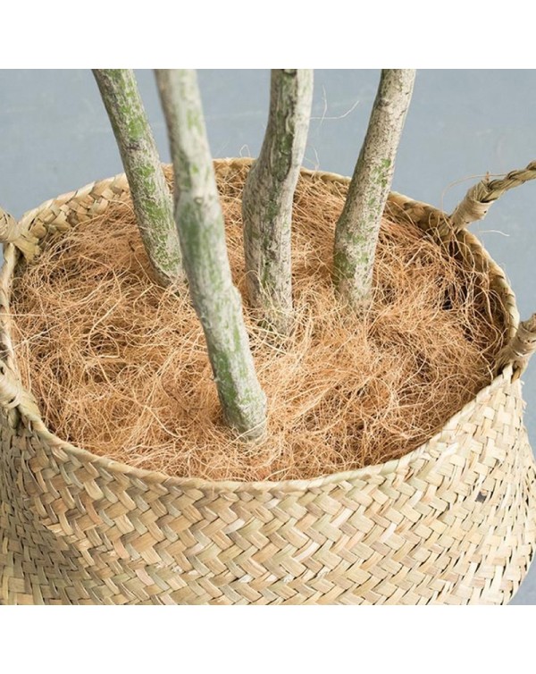 Natural Coconut Husk Fiber Orchids Crafts Plants Maintain Soil Temperature Excellent Pet Bedding Insect-proof Protect