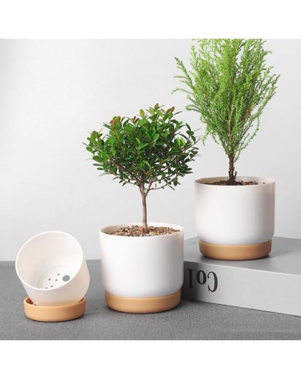 Succulent Plant Pot Double-layer Succulent Green Dill Small Green Plant Flowerpot Round Double Layer Succulent Small Flower Pot