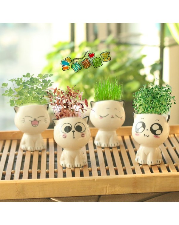 Mini Cat Shaped Ceramic Flowerpot Cartoon Cute Hand Desktop Potted Desk Decorate Small Ornaments