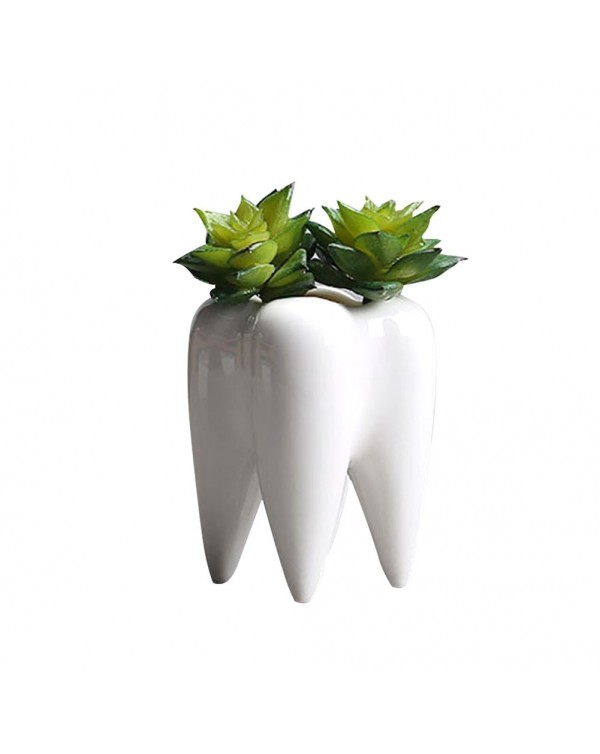 No Plant or Hole Cute Tooth Shape Solid and Durable Corrosion-resistant Ceramic Flower Pot Garden Bonsai Planting Length 6.8CM