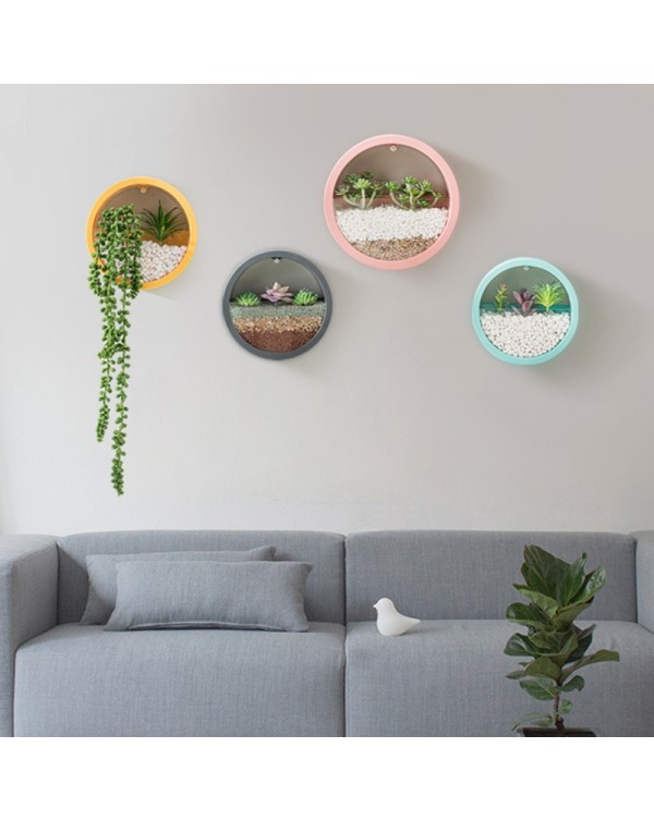 Modern Transparent Round DIY Wall Vase Home Living Room Decor Bonsai Restaurant Hanging Basket Flower Pot Succulent Planter