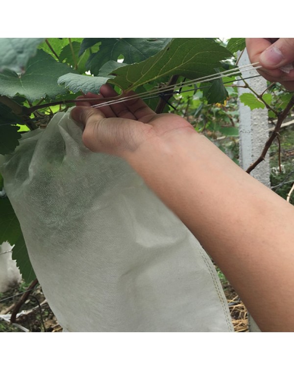 100Pcs Grapes Bags Net For Vegetable Grapes Fruit Protection Grow Bag from OS Mesh Against Insect Pest Control-Bird Home Garden