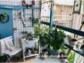 My Blue Dream House-A 4 Square Meter Garden